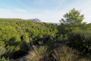 Parcela con vistas en venta en la zona de Covatelles, Jávea.