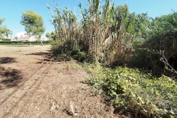 Tres parcelas situadas en Adsubia, Jávea. Distancia andando a supermercado y a la playa de La Caleta de Jávea.