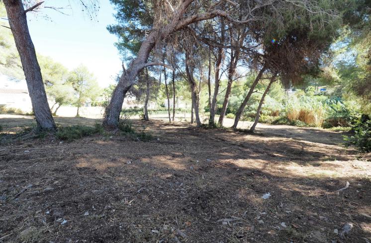 Tres parcelas situadas en Adsubia, Jávea. Distancia andando a supermercado y a la playa de La Caleta de Jávea.