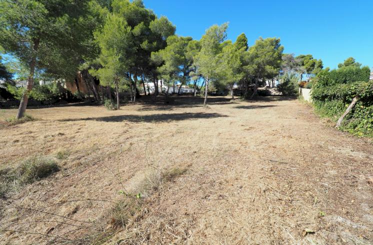 Tres parcelas situadas en Adsubia, Jávea. Distancia andando a supermercado y a la playa de La Caleta de Jávea.