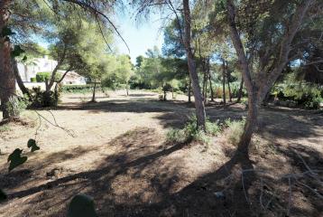 Tres parcelas situadas en Adsubia, Jávea. Distancia andando a supermercado y a la playa de La Caleta de Jávea.
