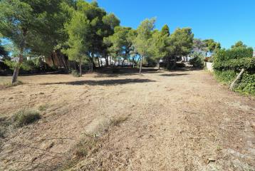 Tres parcelas situadas en Adsubia, Jávea. Distancia andando a supermercado y a la playa de La Caleta de Jávea.
