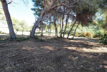 Tres parcelas situadas en Adsubia, Jávea. Distancia andando a supermercado y a la playa de La Caleta de Jávea.