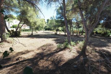 Tres parcelas situadas en Adsubia, Jávea. Distancia andando a supermercado y a la playa de La Caleta de Jávea.