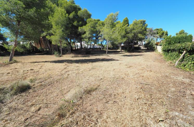 Tres parcelas situadas en Adsubia, Jávea. Distancia andando a supermercado y a la playa de La Caleta de Jávea.