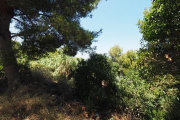 Exclusivas parcela en venta en Portichol, Jávea con impresionantes vistas al mar